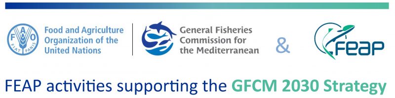 banner-gfcm-hompage banner-gfcm-hompage